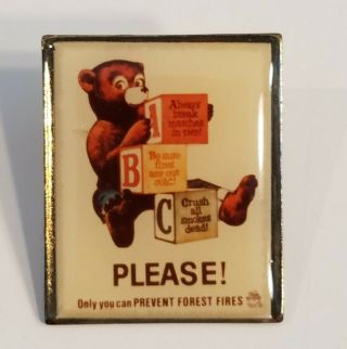 Vintage Us Forest Service Nps Smokey Bear Only You Prevent Fires Union 65 Pin