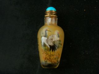 Wonderful Chinese Glass Inside Hand Painted Crane Little Snuff Bottle A118