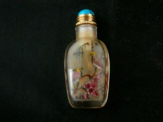 Wonderful Chinese Glass Inside Hand Painted Bird Little Snuff Bottle A015