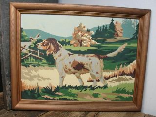 Vintage Springer Spaniel Dog Paint By Numbers Pbn Framed Painting