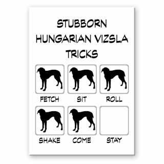 Hungarian Vizsla Stubborn Tricks Fridge Magnet Dog