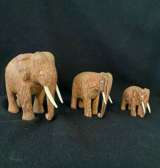Three Vintage Hand Carved Wooden Elephants With Tusks