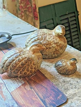 Vintage Quail Partridge Ceramic Pottery Figurines Set Of 3 - Made In Japan