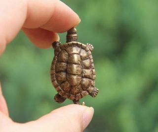 5 Cm Chinese 100 Pure Bronze Buddhism Fengshui Animal Tortoise Turtle Statue W5