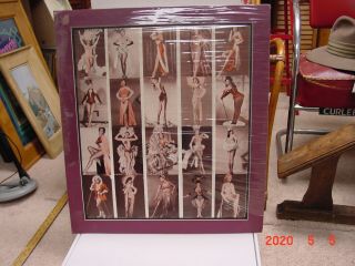 24x 22 Exhibit Supply Company Poster Marquee " Las Vegas Show Girls " 100 Orig