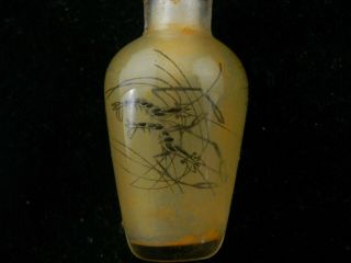 Chinese Glass Inside Hand Painted Shrimp Little Snuff Bottle I116 2