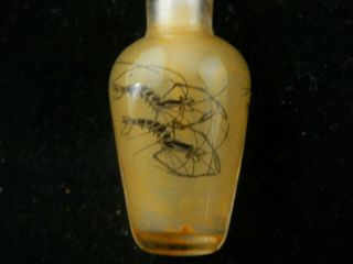 Chinese Glass Inside Hand Painted Shrimp Little Snuff Bottle I116 3