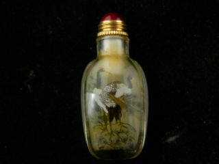 Exquisite Chinese Glass Inside Hand Painted Crane Little Snuff Bottle G124