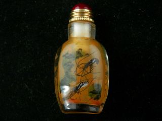 Lovely Chinese Glass Inside Hand Painted Shrimp Little Snuff Bottle F116