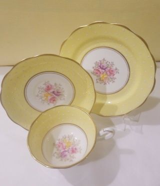 Vintage Royal Albert Crown China Yellow And White Polka Dot Cup Saucer Plate