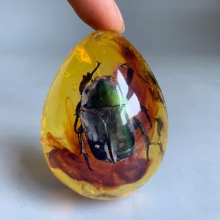China Ancient Collectable Decor Old Amber Carving Insect Beetle Precious Pendant