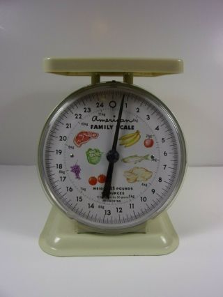 Vintage Metal American Family Food/ Kitchen Scale Cream Colored? 25lbs Pre - Owned