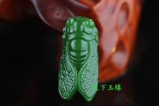 Hand - Carved 100 Natural Green Jade Cicada Pendant Necklace Amulet
