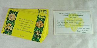 Vintage Blank Girl Scout Certificate Of Membership Card (set Of 2)