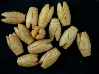 13pics Special Chinese Jade Hand Carved Cicada Beads A179