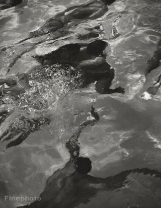 1986 Vintage Bruce Weber Miami Beach Underwater Nude Swimmers Pool Photo Gravure