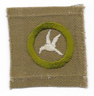 1920 - 1933 At1 Bird Study Square Merit Badge Type A Boy Scouts Of America Bsa