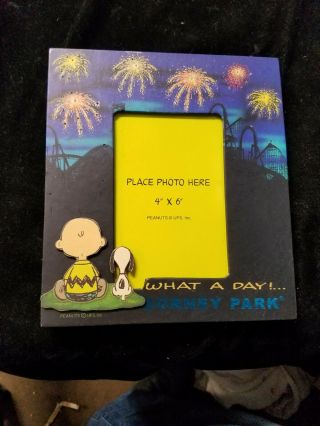 Vintage Dorney Park Peanuts What A Day Picture Frame For 4 " X 6 " Photo