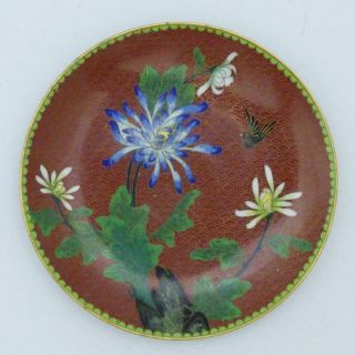 Antique Chnese Cloisonne Plate,  Early 20th Century