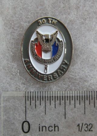 Boy Scout 30th Anniversary Nesa Lapel Pin National Eagle Scout