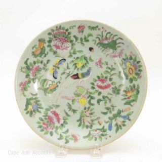 19th.  C Chinese Famille Rose Plate,  Flowers,  Birds And Butterflies Marked