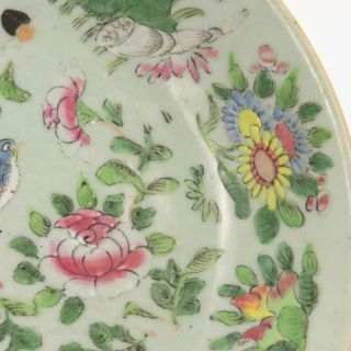 19th.  c Chinese Famille Rose Plate,  Flowers,  Birds and Butterflies Marked 3
