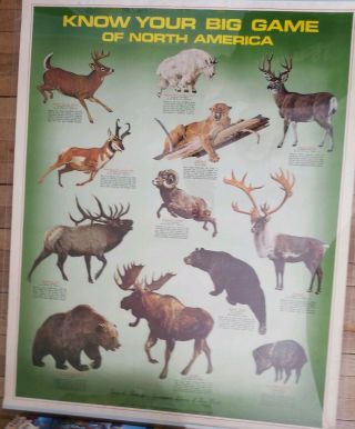 Vintage Remington Sportsman Know Your Big Game N America Metal Poster Guide 70s