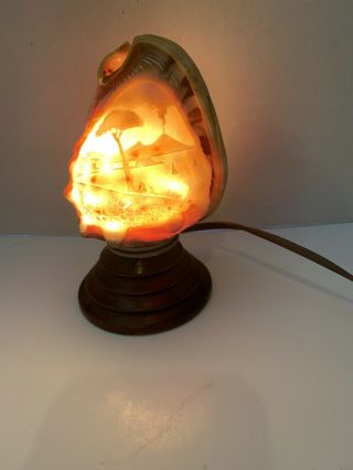 Vintage Conch Shell Lamp Carved Scene