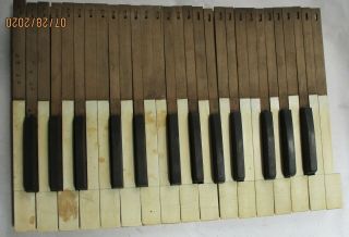 29 Estey Organ Co.  Pump Organ Keys 17 White 12 Black Antique
