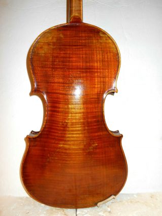Vintage Antique Old " Antonio Vettrini " 1 Pc.  Back Full Size Violin -