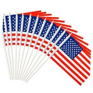 Usa United States Mini Flag 12 Pack - Hand Held Small Miniature American Us Fla