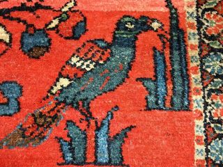 Antique Handmade Oriental Style Wool Throw Rug,  Bird Flowers Red Blue,  24 
