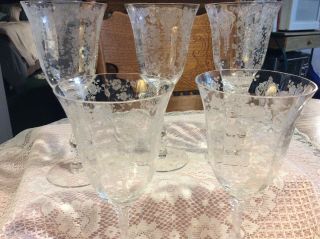 Vintage Cambridge Rose Point Water Goblets Set Of 5  8.  25”