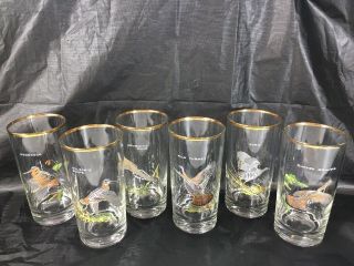 Vintage Mcm 60s Ned Smith Game Birds High Ball Glasses 5.  5 Tumblers Bar Set Six
