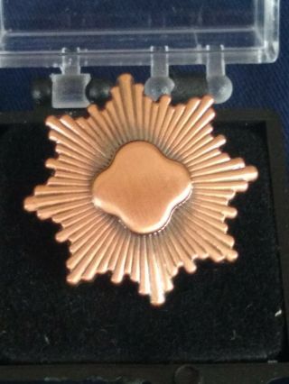 Style Post - 2011 Girl Scout Bronze Award Pin Junior Highest Earned Award Htf