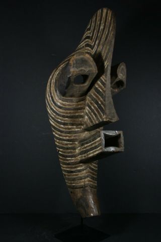Large 24 " African Male Kifwebe Mask - Songye Tribe - D.  R Congo,  Tribal Art