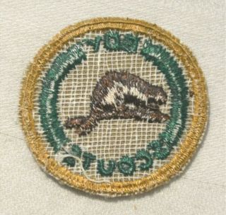 BEAVER Boy Scout Water Conservationist Proficiency Award Badge Tan Cloth Troop 2