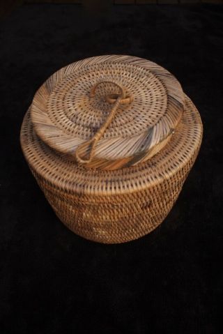 Finely Woven Buka Basket W Lid - Papua Guinea 1970 