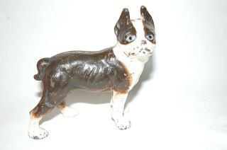 Cast Iron " Boston Bull Terrier Dog " Still Bank Made By Vindex Toys