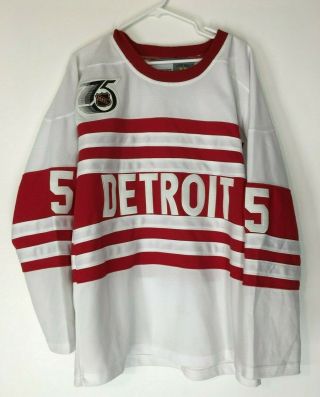 Detroit Red Wings Lidstrom 1992 Ccm Vintage Throwback Jersey Size 48 7187a
