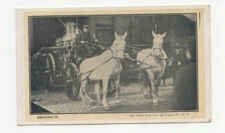 York Steam Horse Drawn Fire Wagon,  Titled Backing In,  Litho Postcard C1910