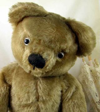 Sweet Chad Valley Bear C1950 With Label 18 " Tall