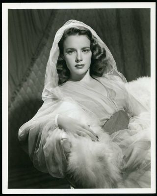 Susan Peters In Portrait Vintage 1940s Dblwt Photo