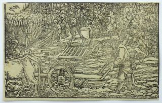 Hans Weiditz 1495 - 1537; Master Woodcut - Agriculture Ploughing Vine Corn [1560]