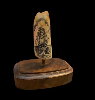 Vintage Scrimshaw Whale Tooth Sail Boat " K " Artist Inscription Vtg
