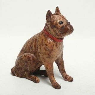Antique A.  C.  Williams / Hubley Figural Cast Iron Still Standing Bank,  Boxer Dog