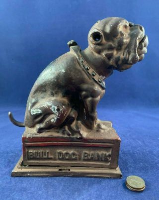 Antique Vintage Cast Iron (ci) Mechanical Bank - Bull Dog Bank,  Coin On Nose