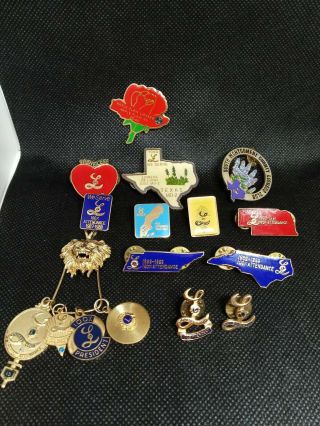 Vintage Lioness Club - 12 Pins And 4 Charms On A Lion Head Charm Holder Pendant