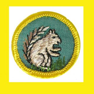 Mammal Cadette Girl Scout Euc Badge Animal Kingdom 1960s Squirrel Rare Combine