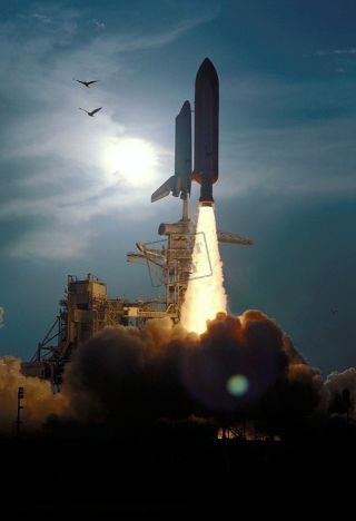 Sts - 64 Launch Space Shuttle Discovery 8x12 Photograph